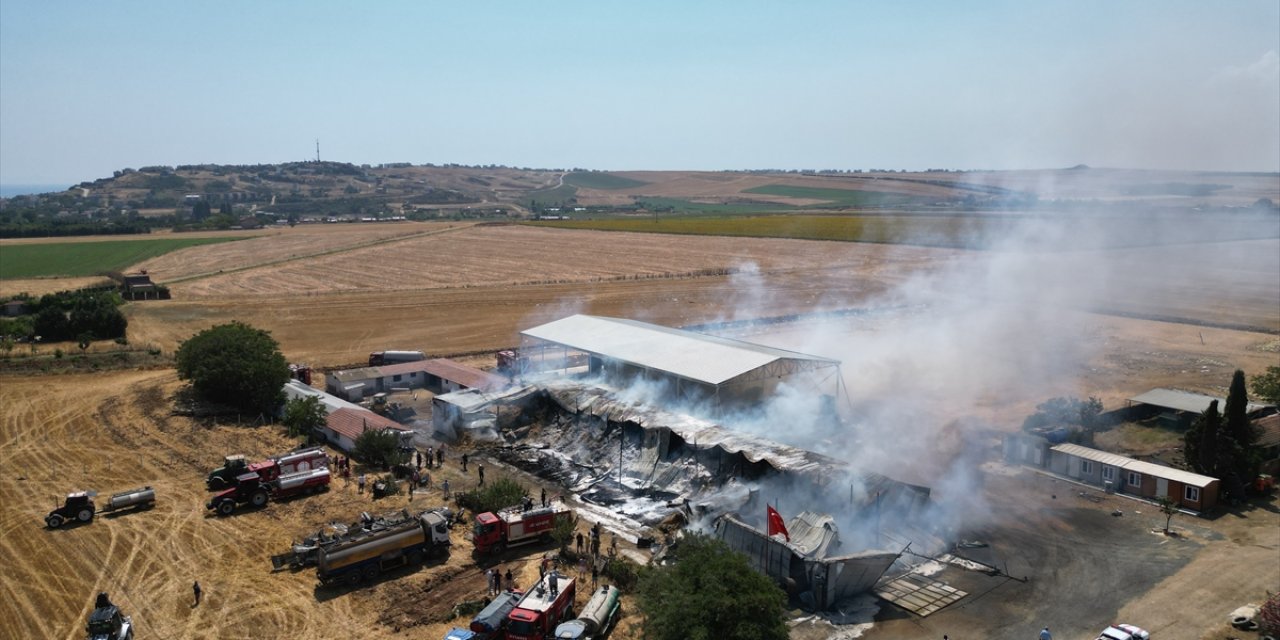 Tekirdağ'da bir çiftlikte çıkan yangında 15 bin saman balyası yandı