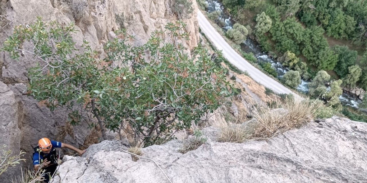 Bitlis'te kayalıklarda mahsur kalan oğlakları AFAD ekipleri kurtardı