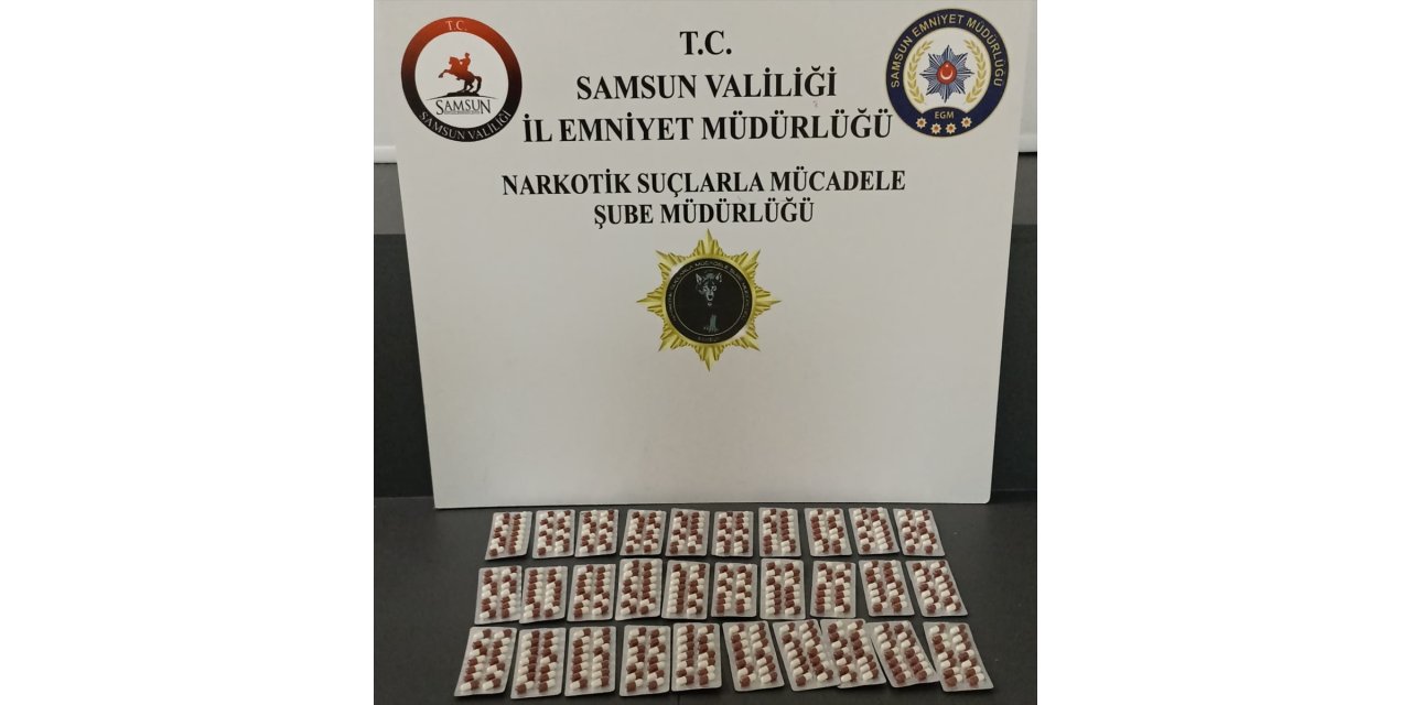 Samsun'da polisin denetimlerinde 19 şüpheli yakalandı