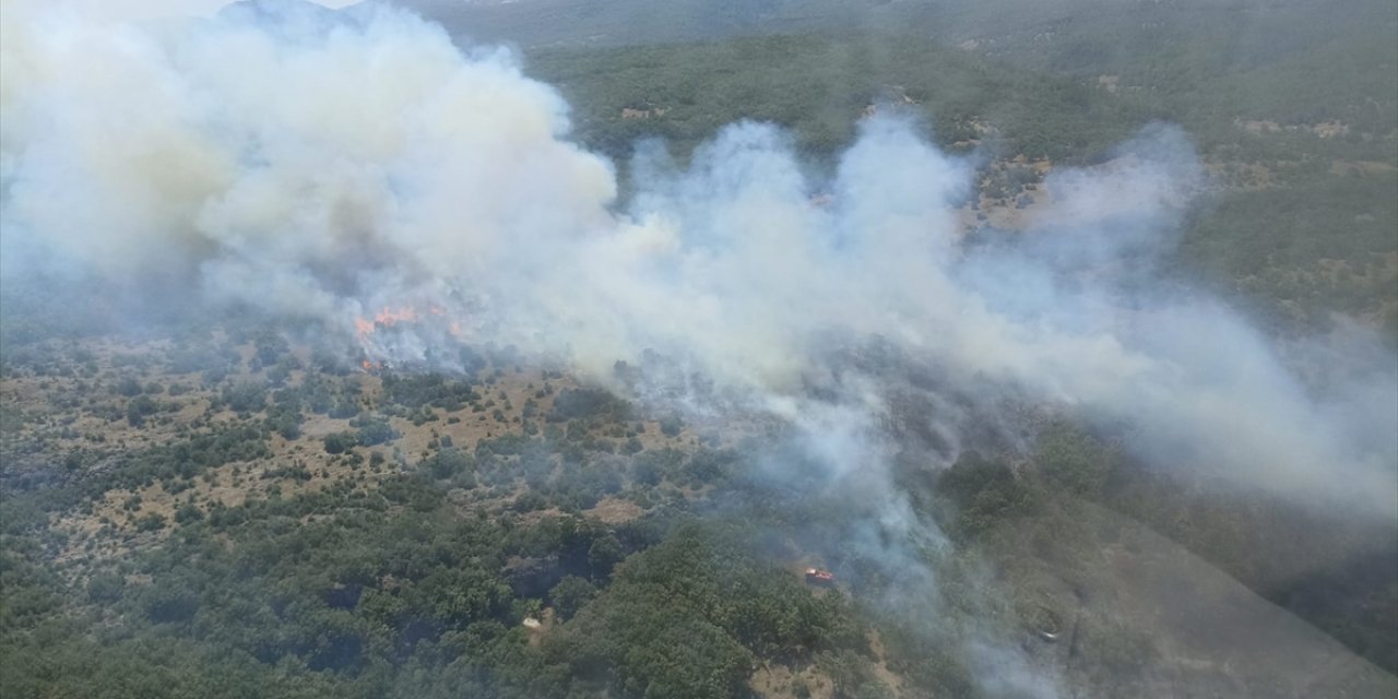 GÜNCELLEME - Bursa'da ormanlık alanda çıkan yangın kontrol altına alındı