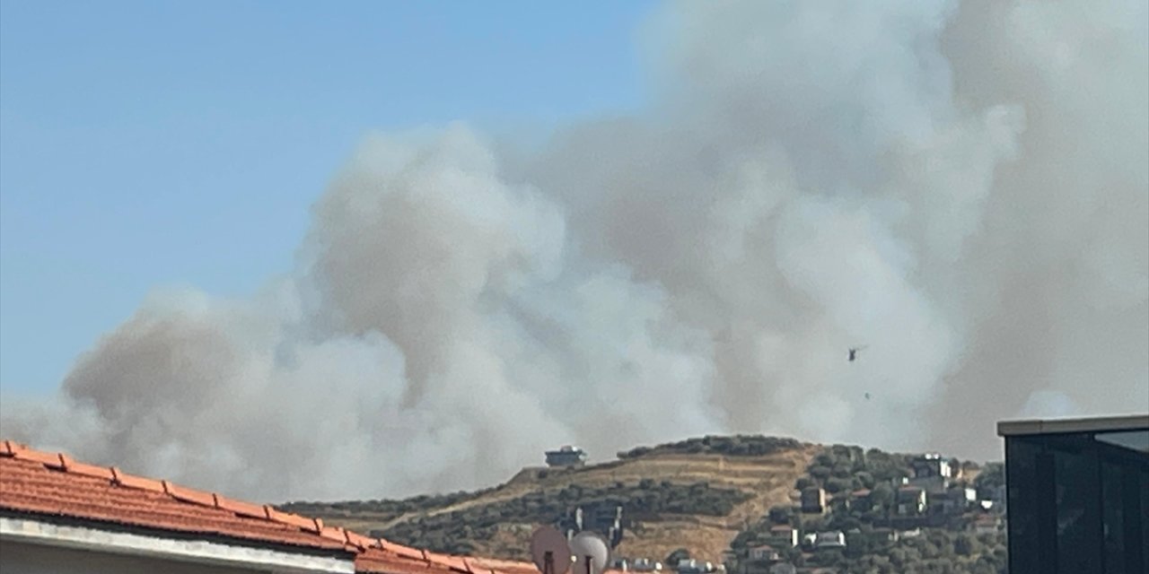 İzmir'in Foça ilçesinde orman yangını çıktı