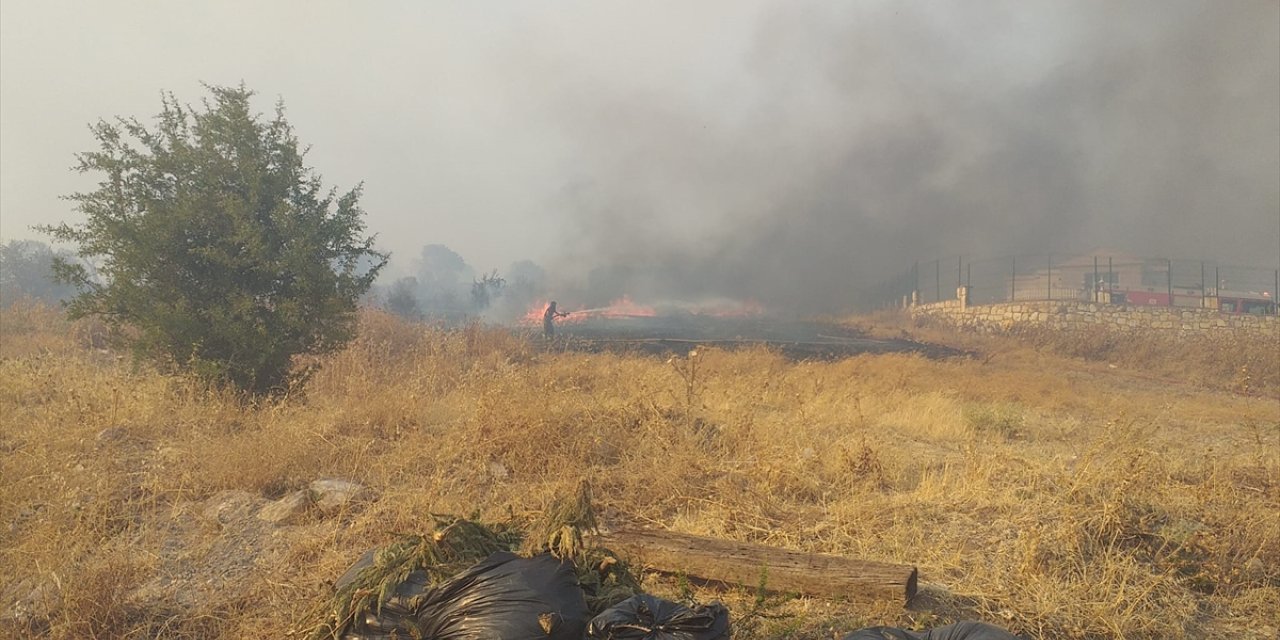 GÜNCELLEME - İzmir'in Foça ilçesinde orman yangını çıktı