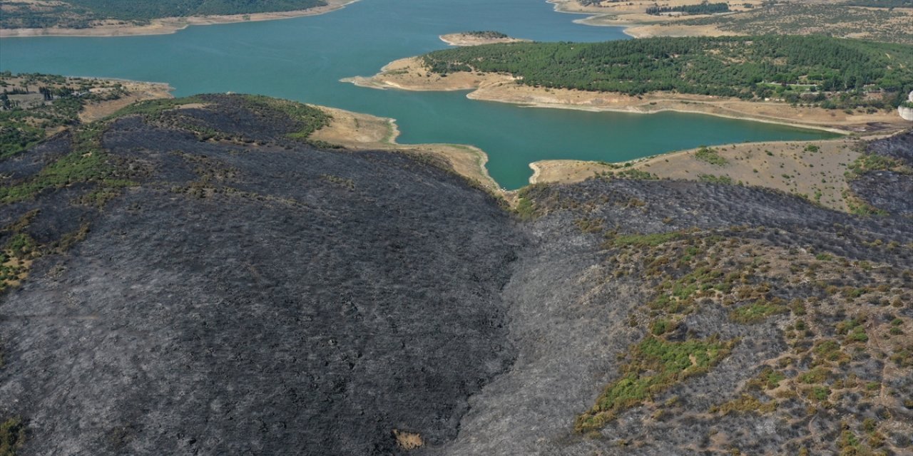 Balıkesir'de orman yangınına neden olduğu öne sürülen şüpheli tutuklandı