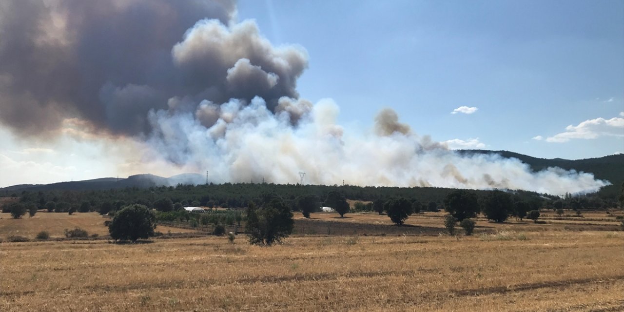 Uşak'ta orman yangınına müdahale ediliyor