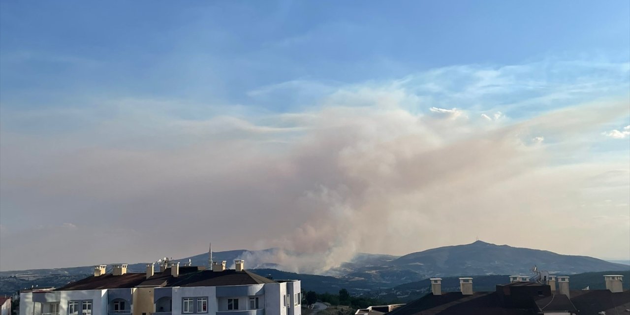 Uşak'ta orman yangınına müdahale ediliyor