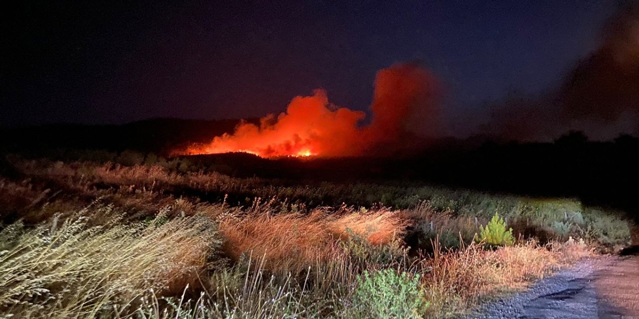 Çanakkale'nin Ayvacık ilçesinde çıkan orman yangınına müdahale ediliyor