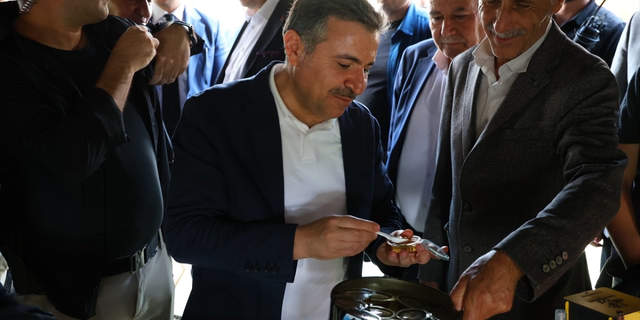 Şırnak'ta "Geleneksel Kuzu Kırpma Kültür ve Yayla Festivali" başladı