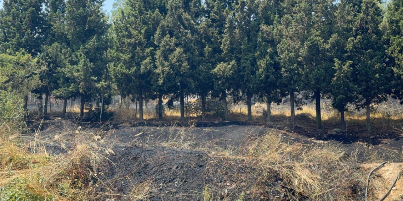 GÜNCELLEME - Sancaktepe'de ormanlık alana sıçrayan yangın söndürüldü