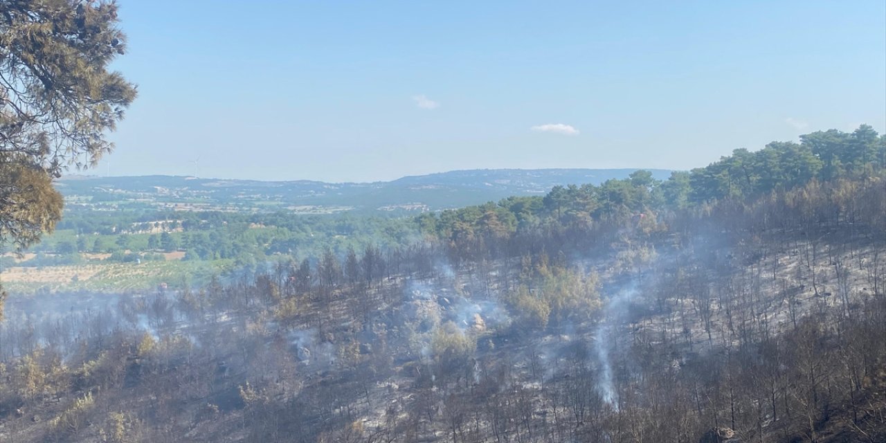 Çanakkale'nin Ayvacık ilçesinde çıkan orman yangını kontrol altına alındı