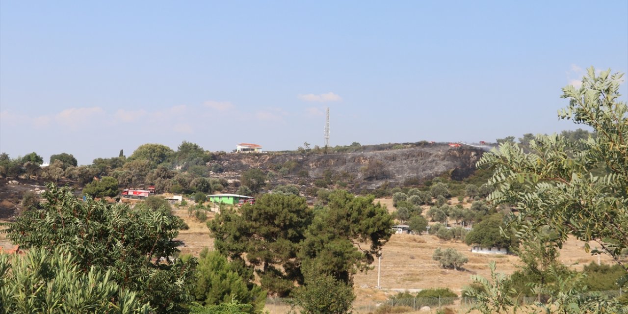 GÜNCELLEME - İzmir Buca'da ormanlık alanda çıkan yangın kontrol altına alındı