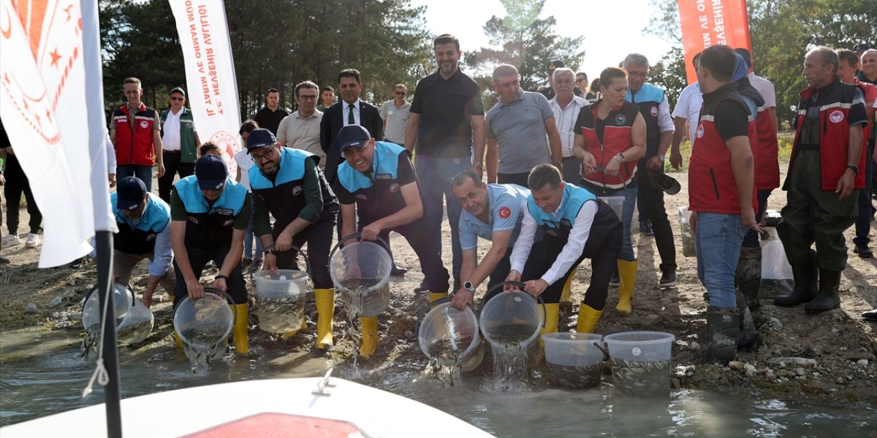 Tarım ve Orman Bakan Yardımcısı Gizligider ve beraberindekiler, Damsa Barajı'na 350 bin yavru sazan balığı bıraktı