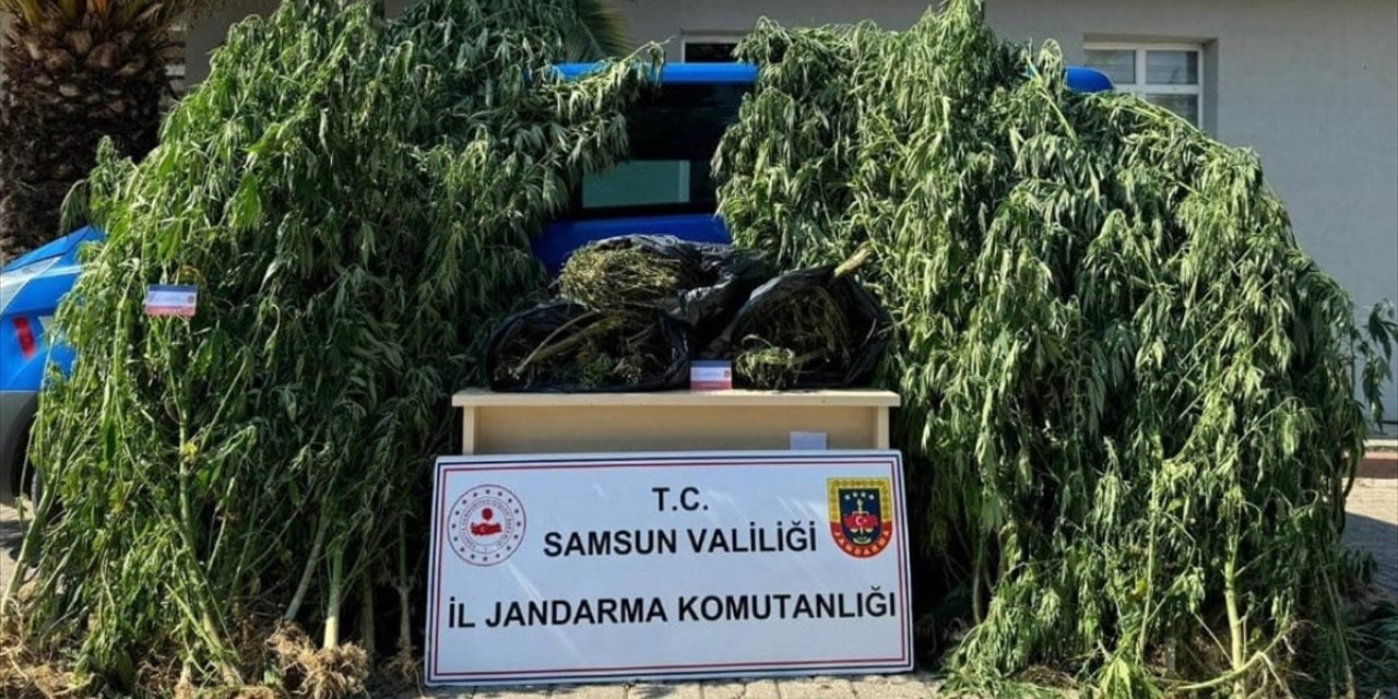 Samsun'da 6 kilo 300 gram esrar ele geçirildi