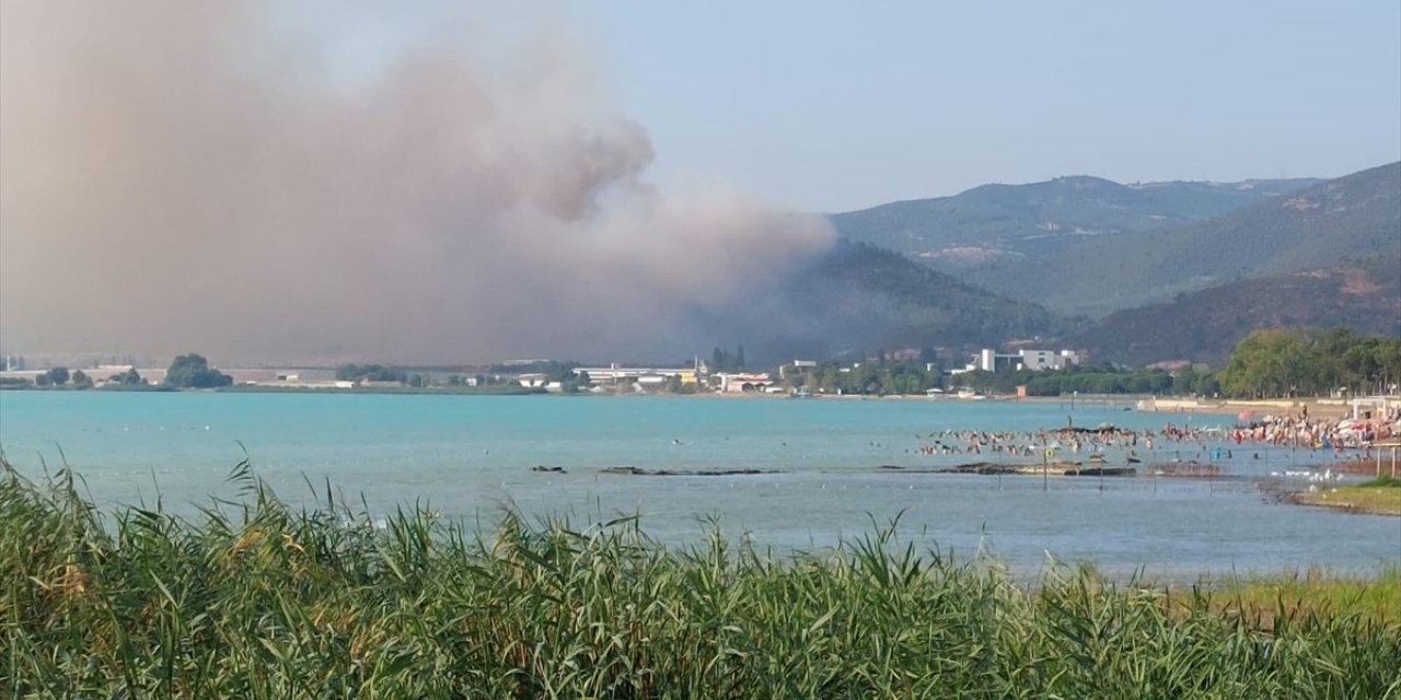 Bursa'da çıkan orman yangınına müdahale ediliyor