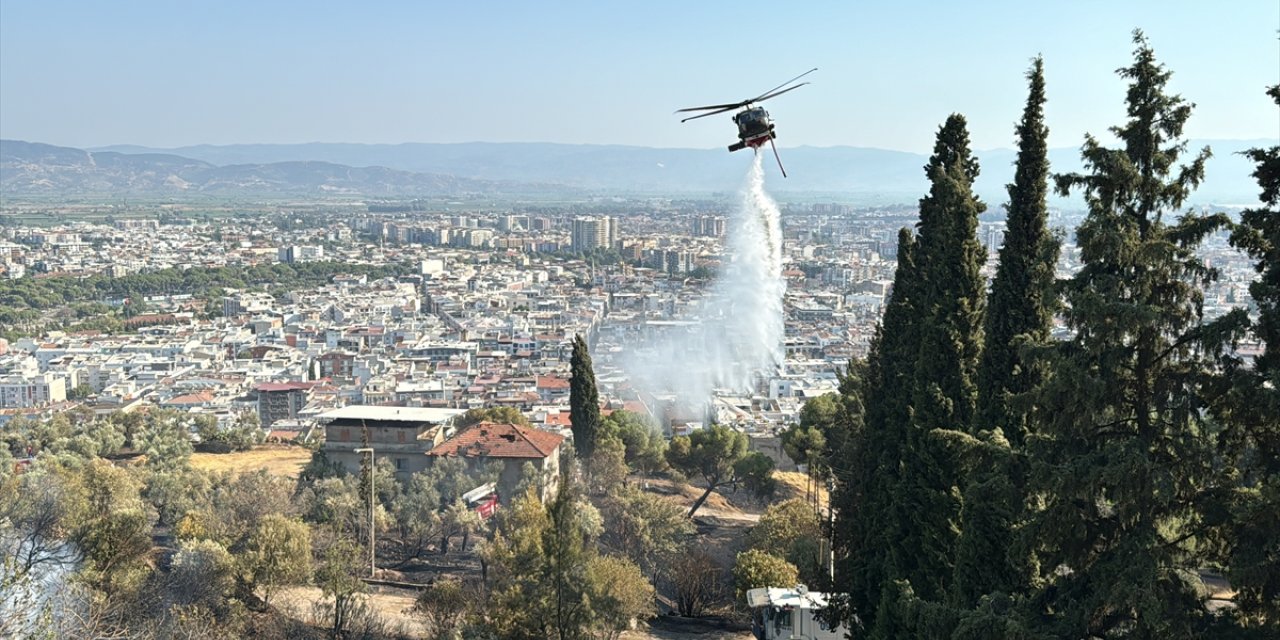 Aydın'da otluk ve zeytinlik alanda çıkan yangın kontrol altına alındı