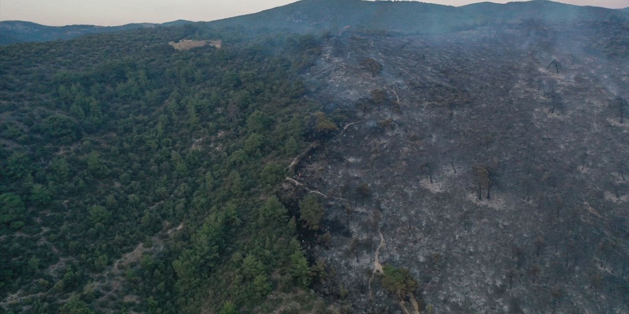 GÜNCELLEME - Bursa'daki orman yangını kontrol altına alındı