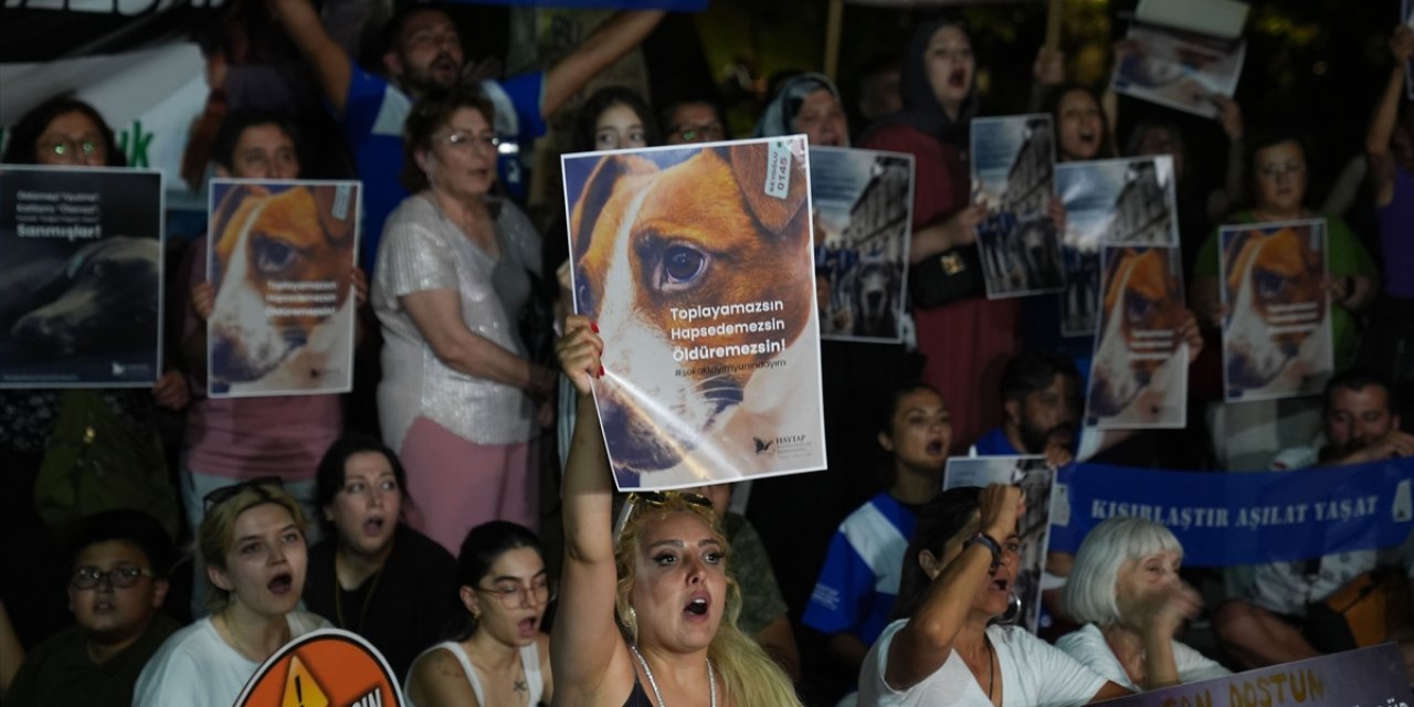 Başkentte, sahipsiz hayvanlara yönelik kanun teklifi protesto edildi