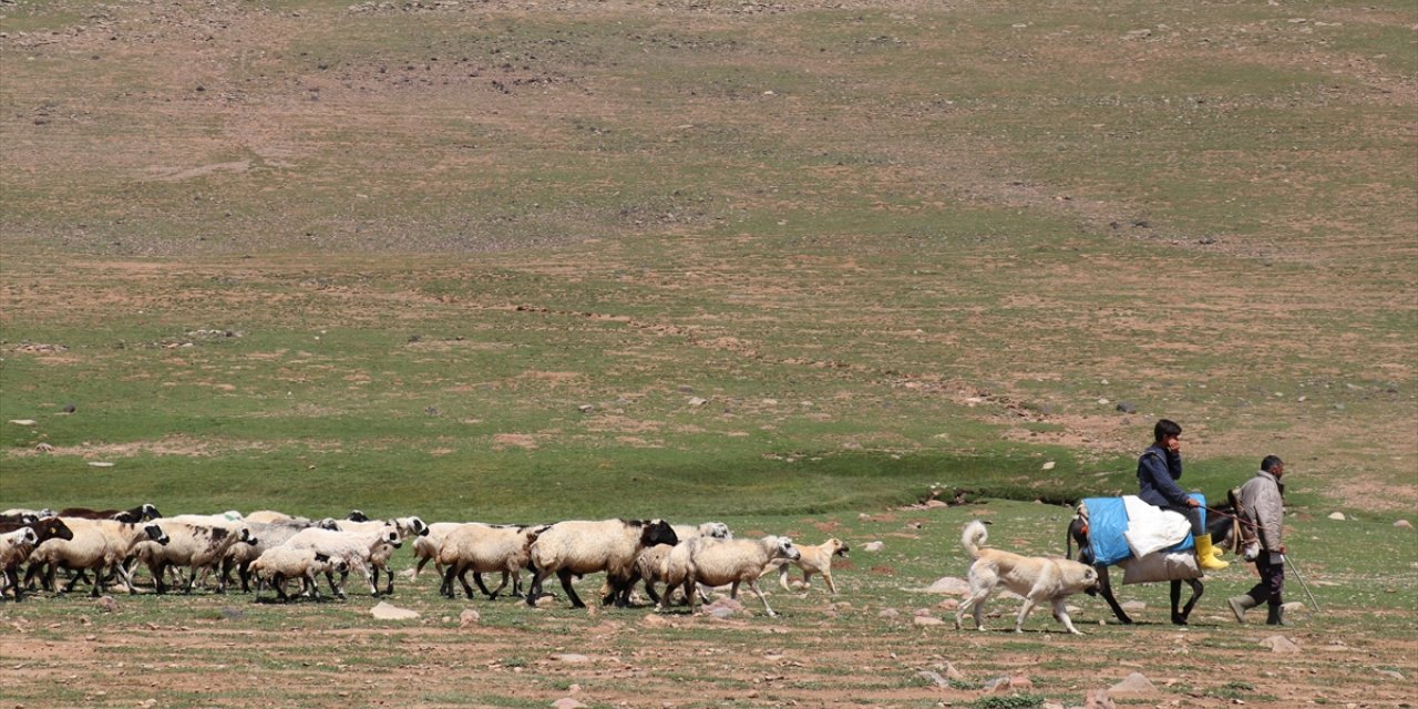 Erzurum'da 2 bin 600 rakımda göçer çocuklarına Kur'an-ı Kerim kursu veriliyor