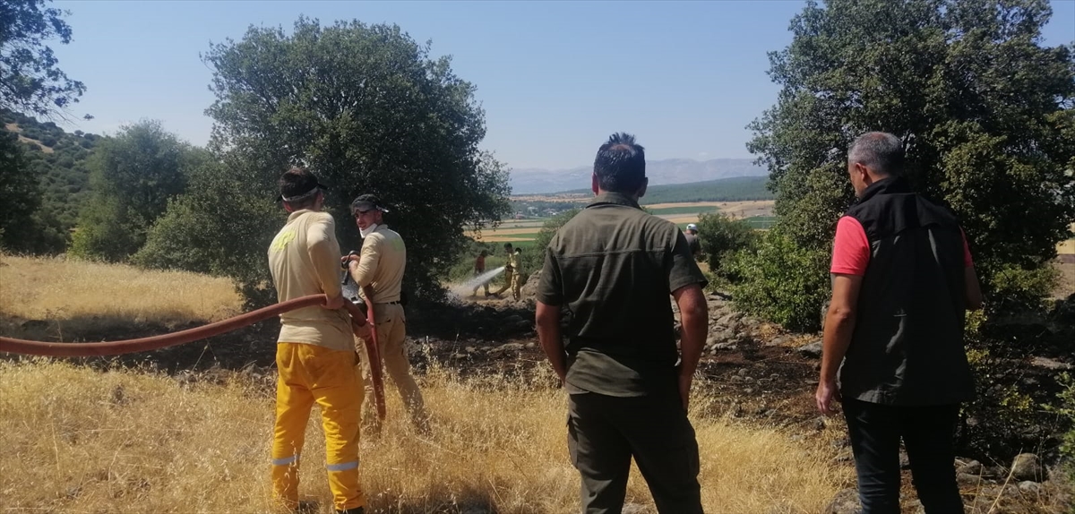 Kahramanmaraş'ta ormanlık alanda çıkan yangın söndürüldü