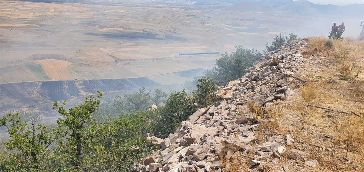 Aksaray'da ormana sıçrayan anız yangını söndürüldü