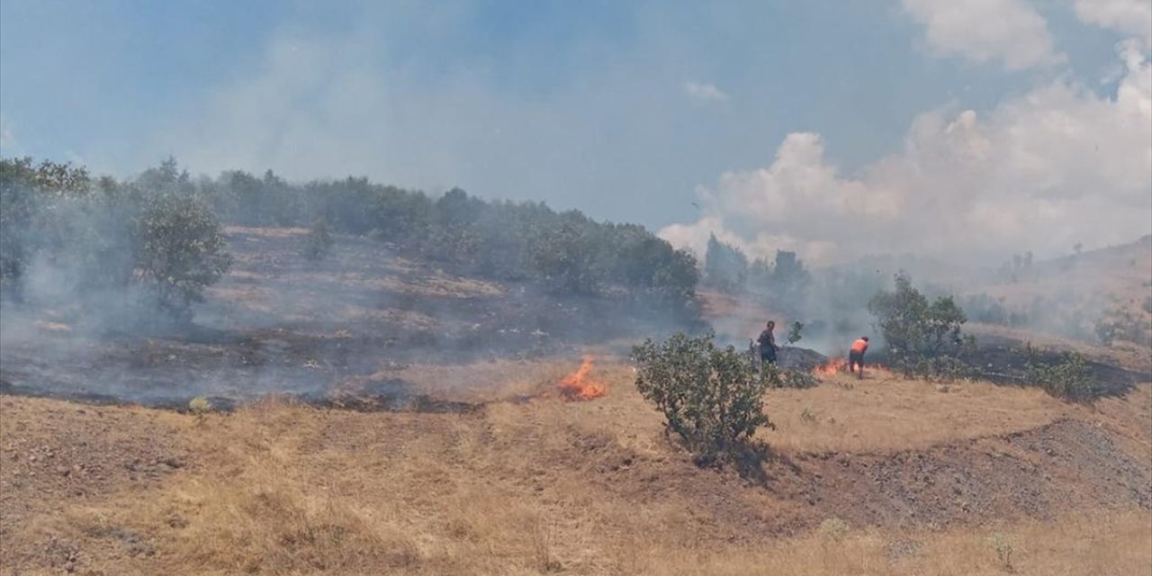 Bingöl'de ormanlık alanda çıkan yangın söndürüldü