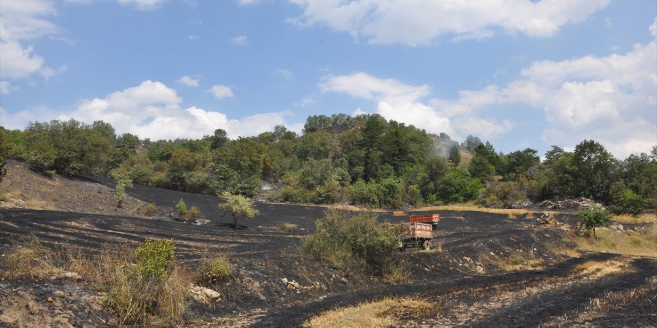 Amasya'da çıkan yangında 15 dönüm buğday ekili arazi zarar gördü