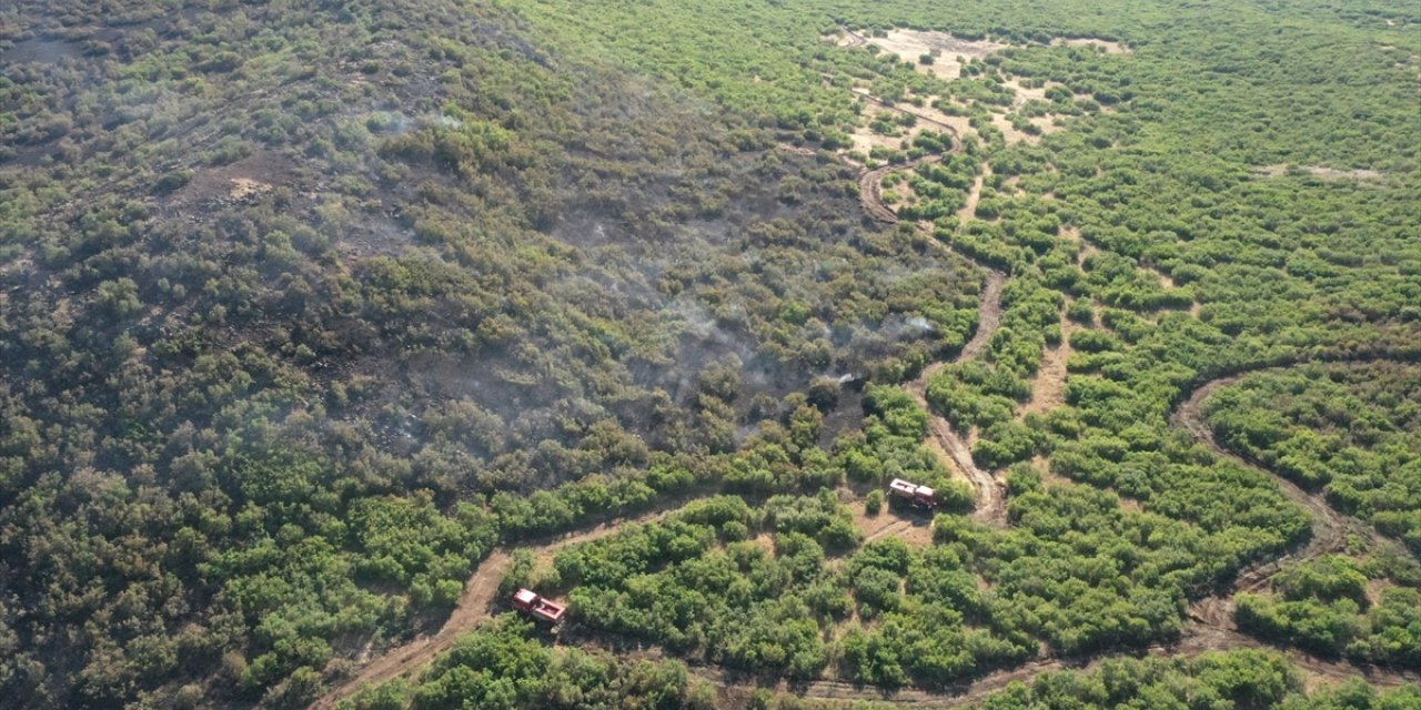 Elazığ'da ormanlık alanda çıkan yangın kontrol altına alındı