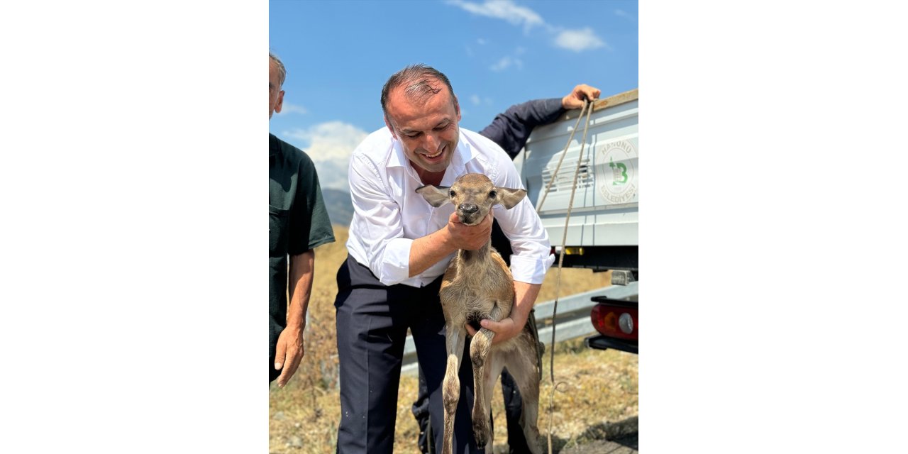 Kastamonu'da su kanalına düşen karaca kurtarıldı