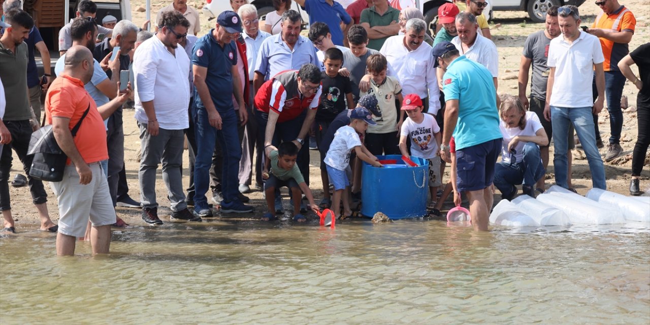 Muğla'da 370 bin sazan yavrusu sulara bırakıldı