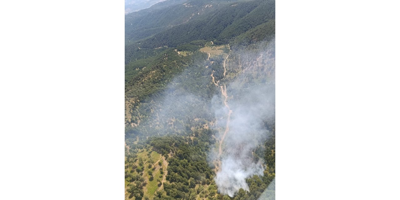 Balıkesir'in İvrindi ilçesinde çıkan orman yangınına müdahale ediliyor