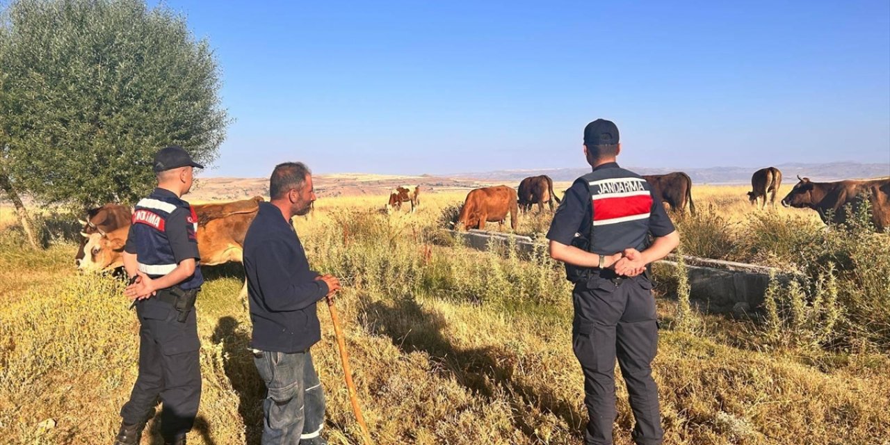 Kayseri'de merada kaybolan 10 büyükbaş hayvan dronla bulundu