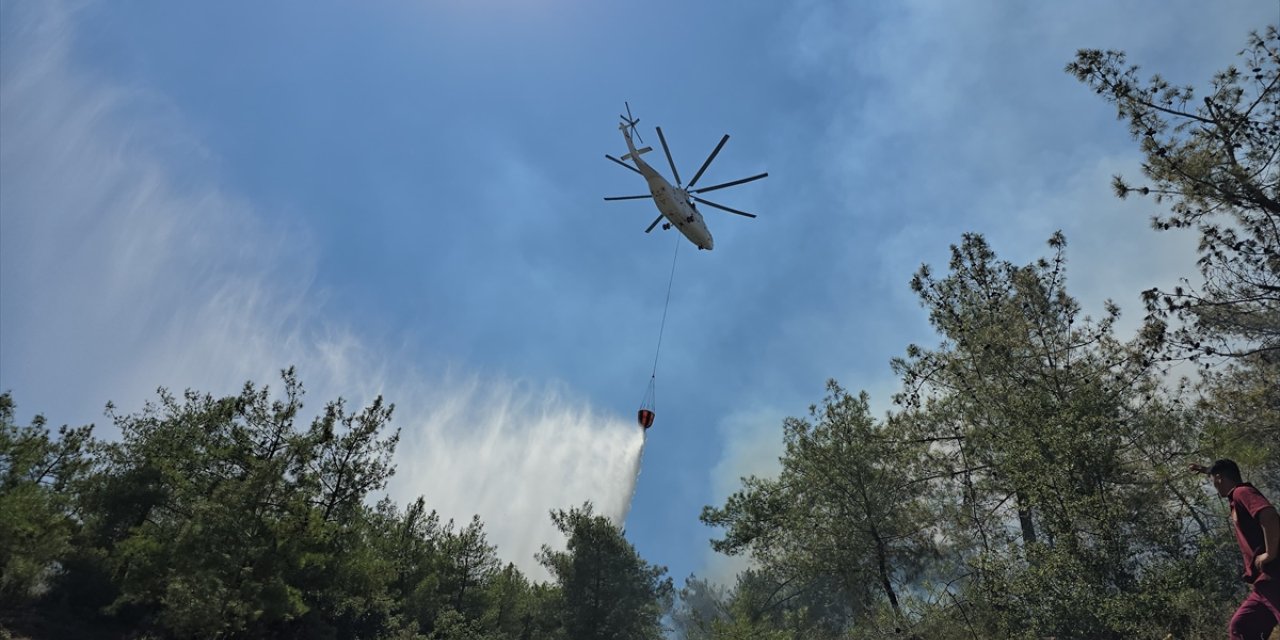 Hatay'da çıkan orman yangınına müdahale ediliyor