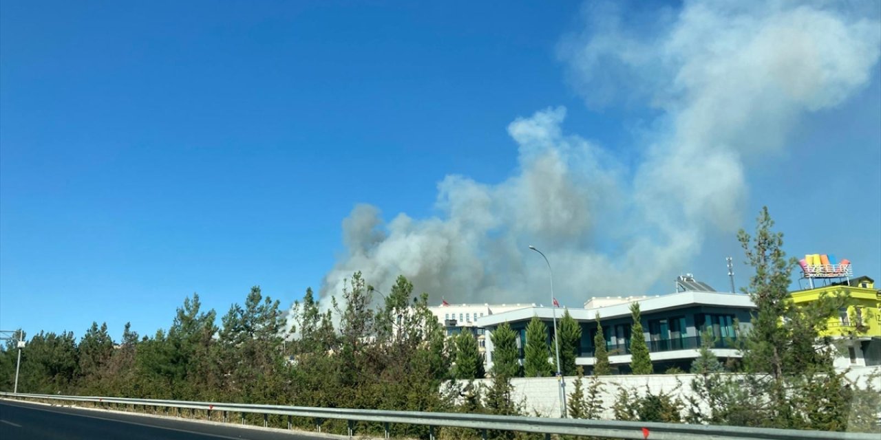 Gaziantep'te çıkan orman yangınına müdahale ediliyor