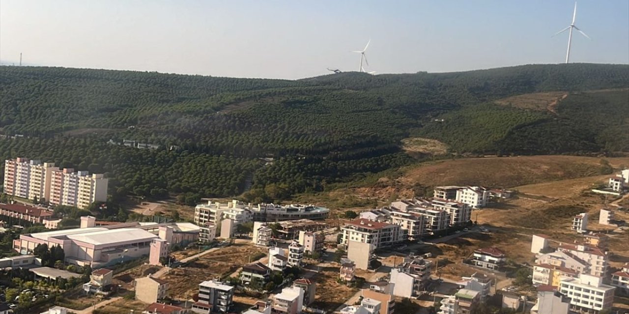 GÜNCELLEME - Yalova'da çıkan orman yangınları kontrol altına alındı