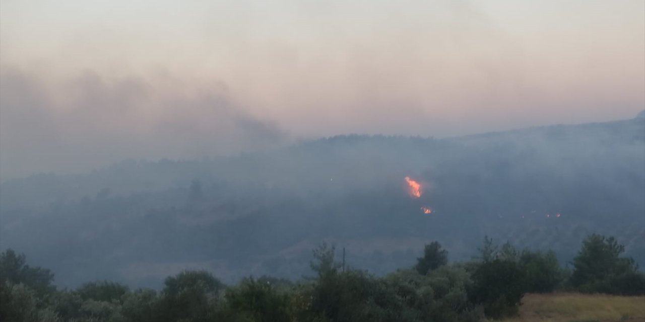 Adana'da çıkan orman yangınına müdahale ediliyor