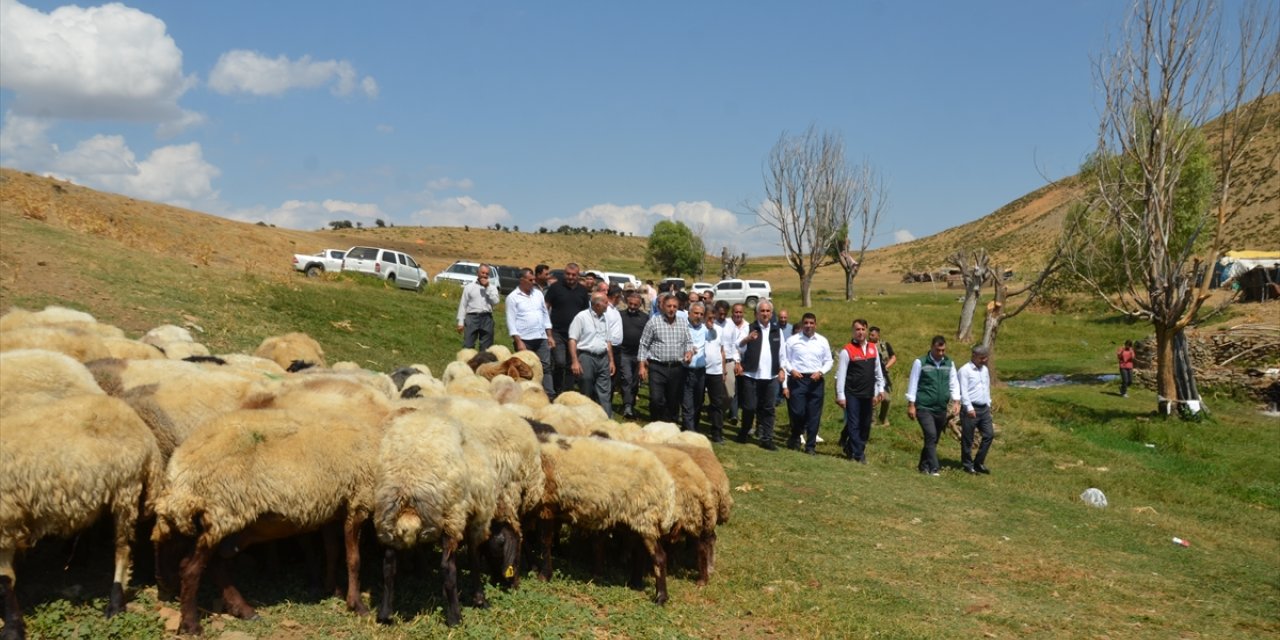 Muş Valisi Çakır, yaylada konaklayan besicileri ziyaret etti: