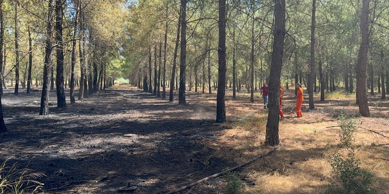 Antalya'da ormanlık alanda çıkan yangın söndürüldü