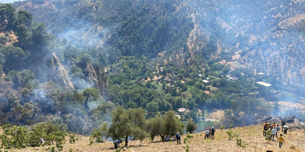 Aydın'da ormanlık ve zeytinlik alanda çıkan yangın kontrol altına alındı