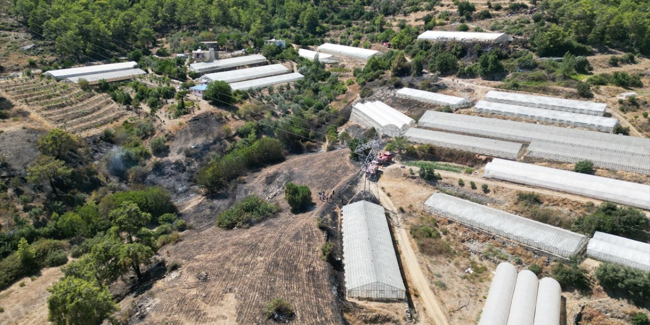 Antalya'da çıkan orman yangını söndürüldü