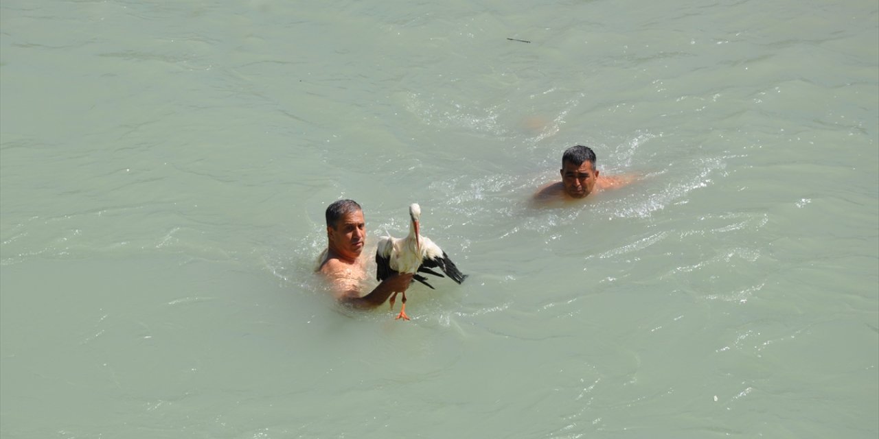 Mersin'de nehirde mahsur kalan yaralı leyleği itfaiye ekipleri kurtardı