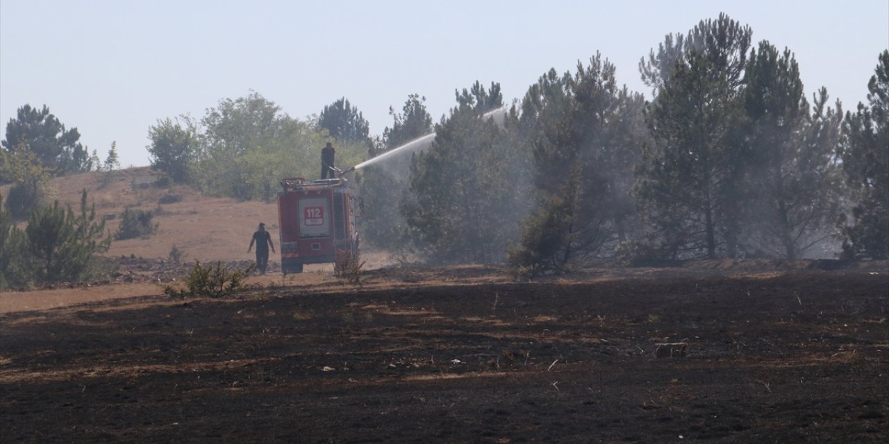 Kastamonu'da otluk alanda çıkan yangın kontrol altına alındı