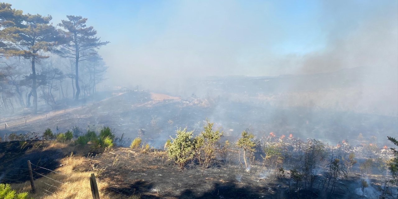 Çanakkale'nin Ayvacık ilçesinde çıkan orman yangınına müdahale ediliyor