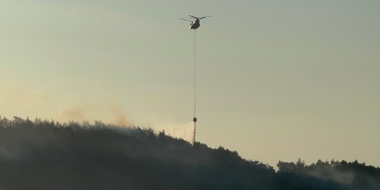 Manisa'nın Kırkağaç ilçesinde çıkan orman yangınına müdahale ediliyor