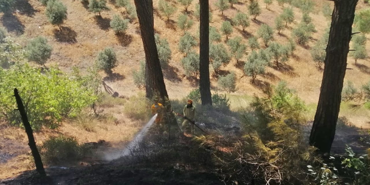 Kahramanmaraş'ta çıkan orman yangınına ekiplerce müdahale ediliyor