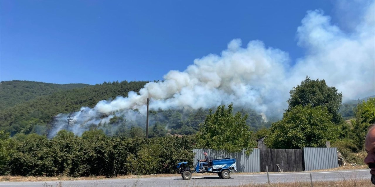 Sakarya'da çıkan yangında 10 hektarlık ormanlık alan zarar gördü