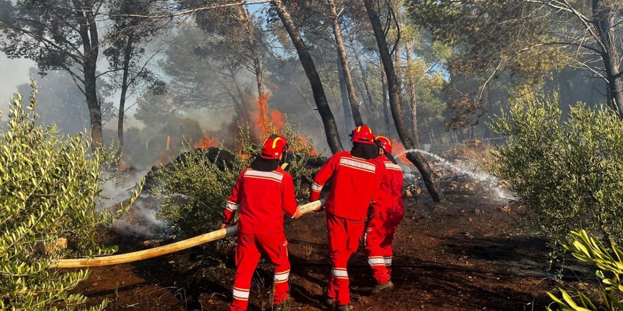 Arnavutluk'ta orman yangını çıktı