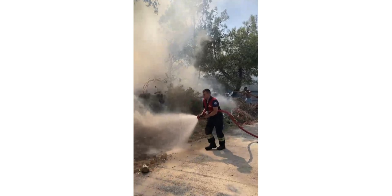 Bodrum'da yerleşim yeri yakınındaki otluk alanda çıkan yangın söndürüldü