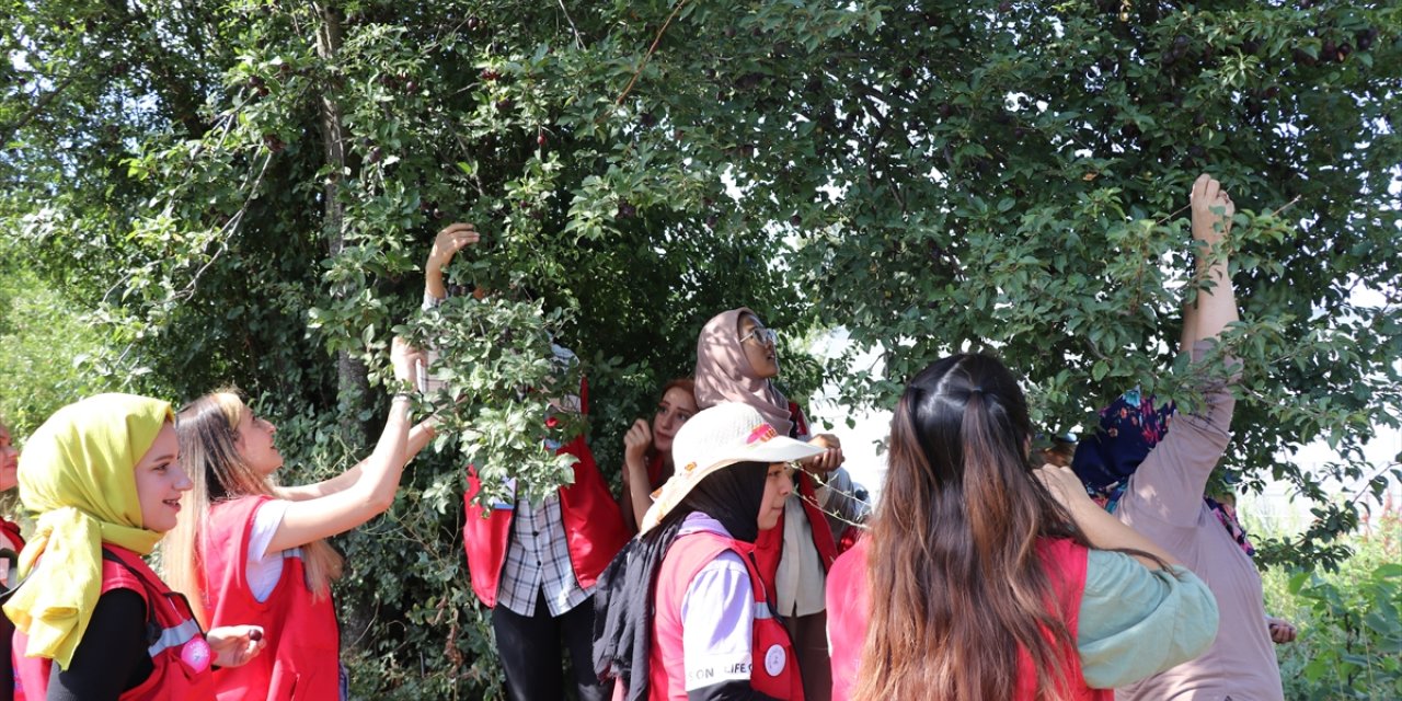 Kütahya'ya gelen öğrenciler "Damla Projesi" ile gönüllere dokunuyor