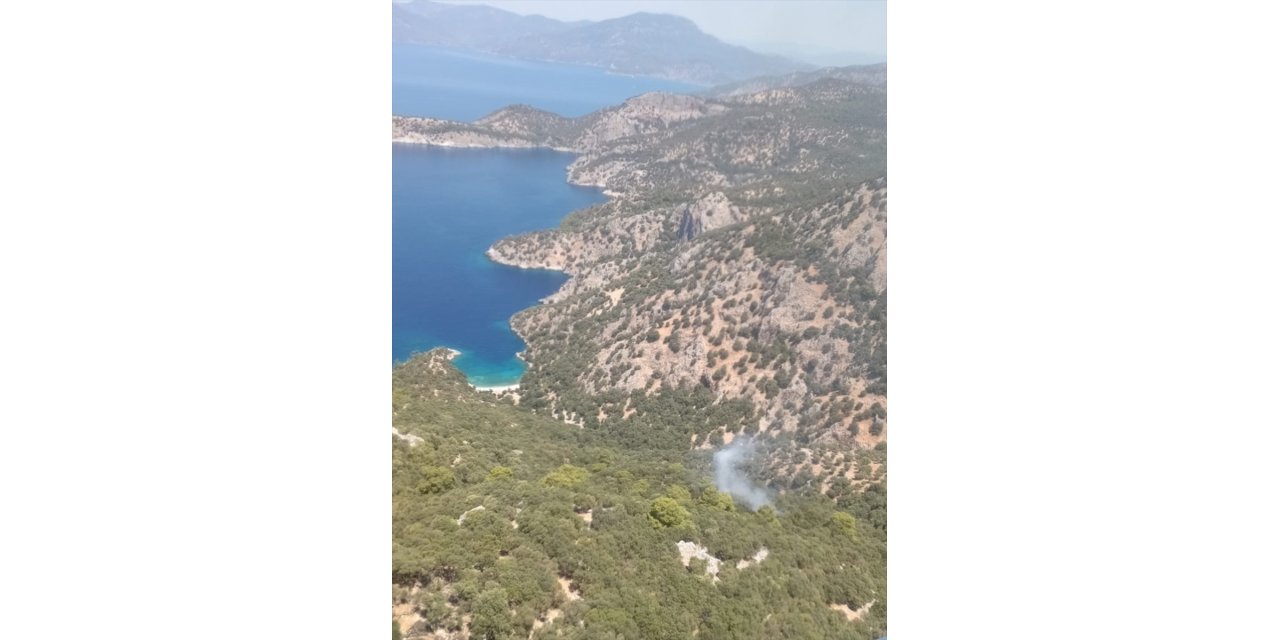 Muğla'nın Ortaca ilçesinde orman yangını çıktı