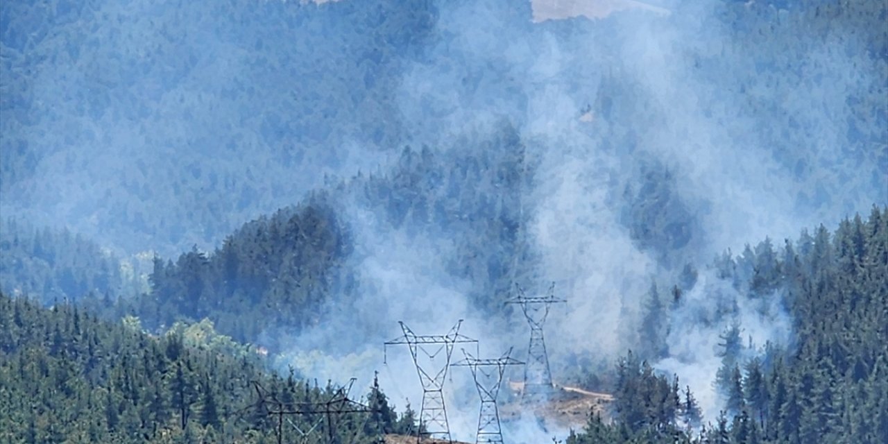 Bursa'da ormanlık alanda yangın çıktı