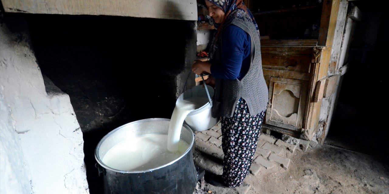 Süt üretiminin arttığı Kars'ta kadınların çeçil peyniri telaşı başladı